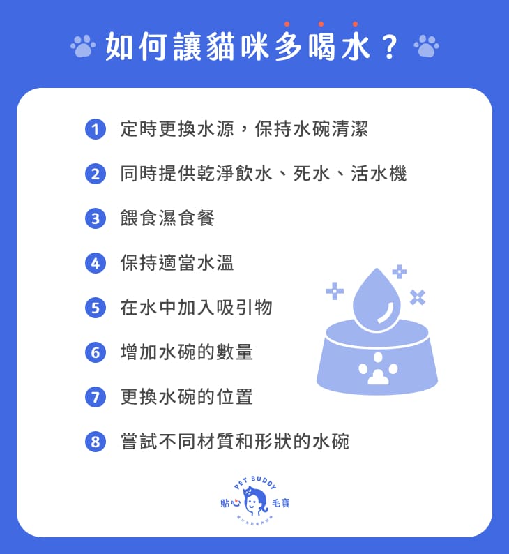 如何讓貓咪多喝水