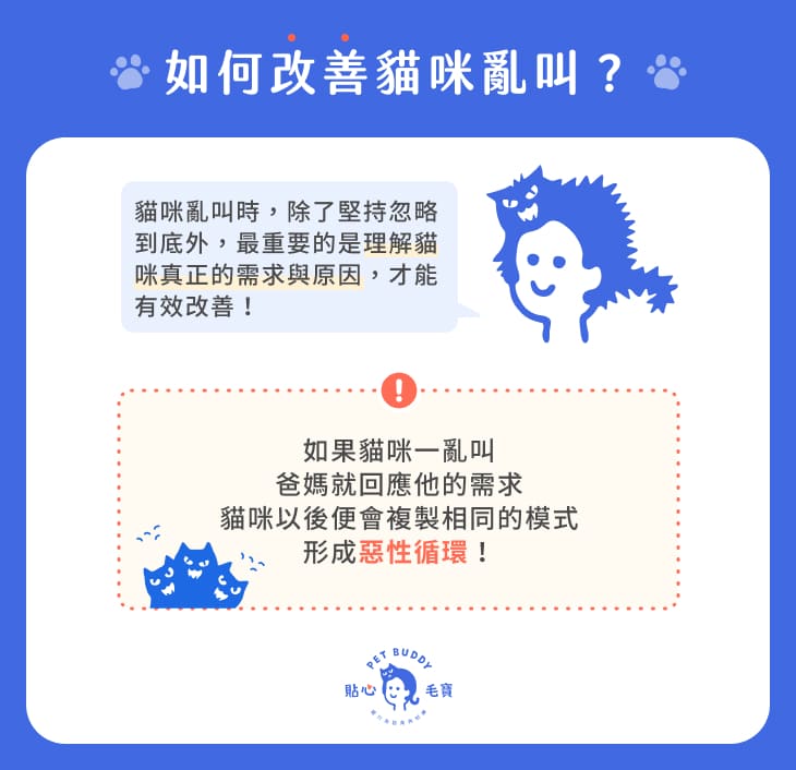 改善貓咪亂叫的方法