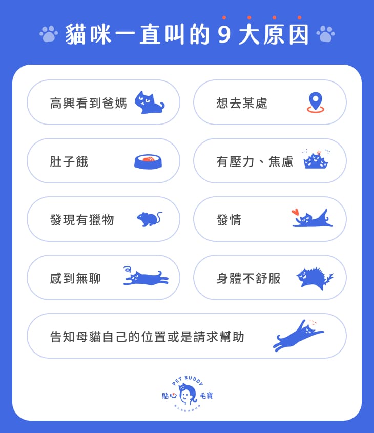 貓咪叫的原因
