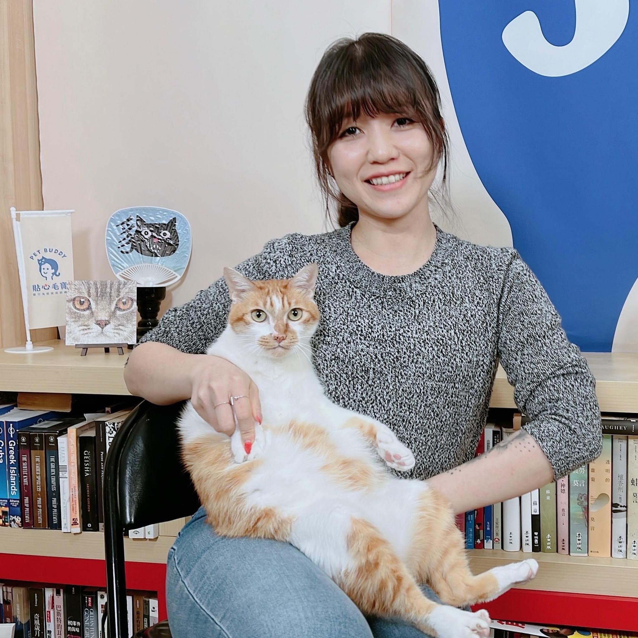 貓咪都是活在當下的動物