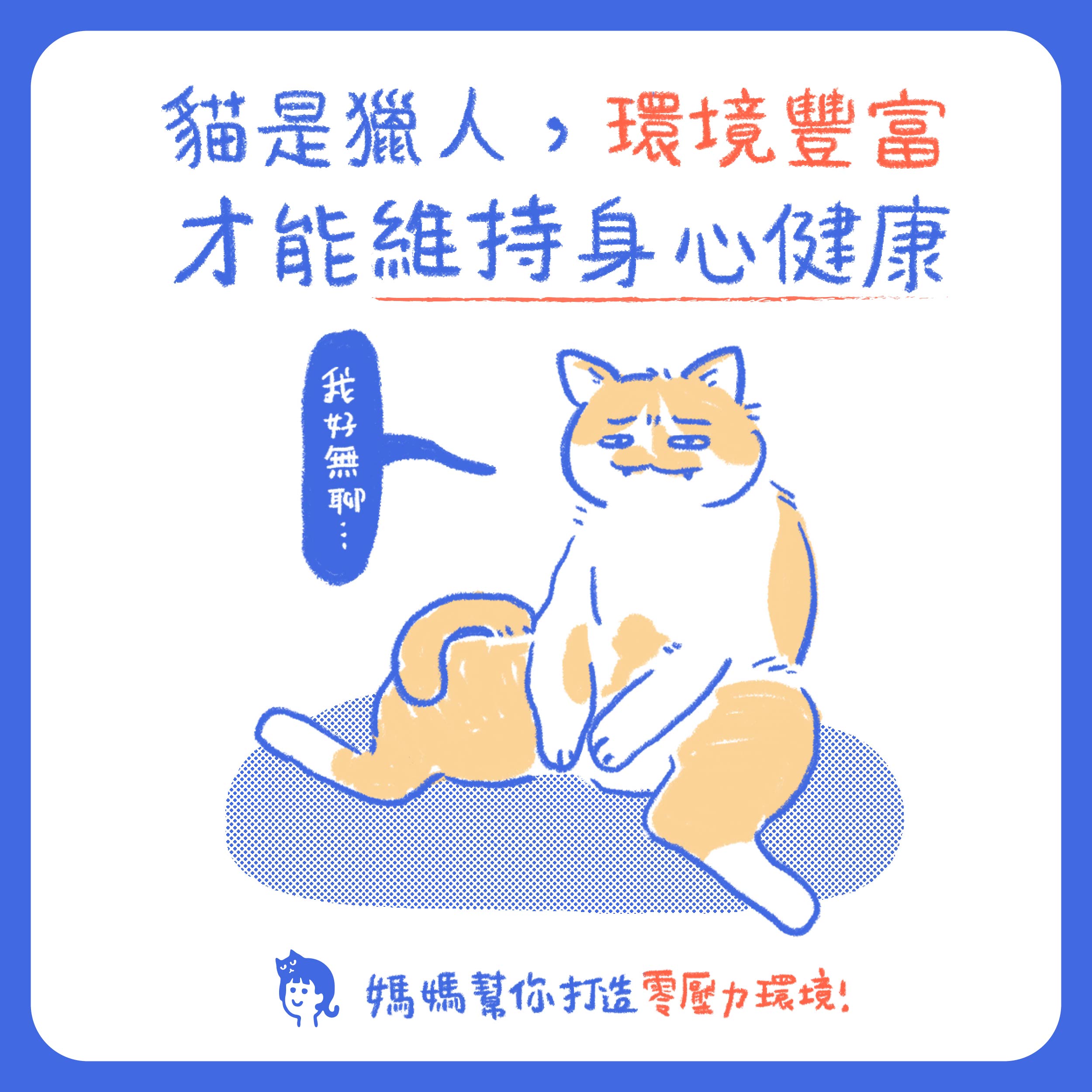 貓是獵人，環境豐富才能維持身心健康