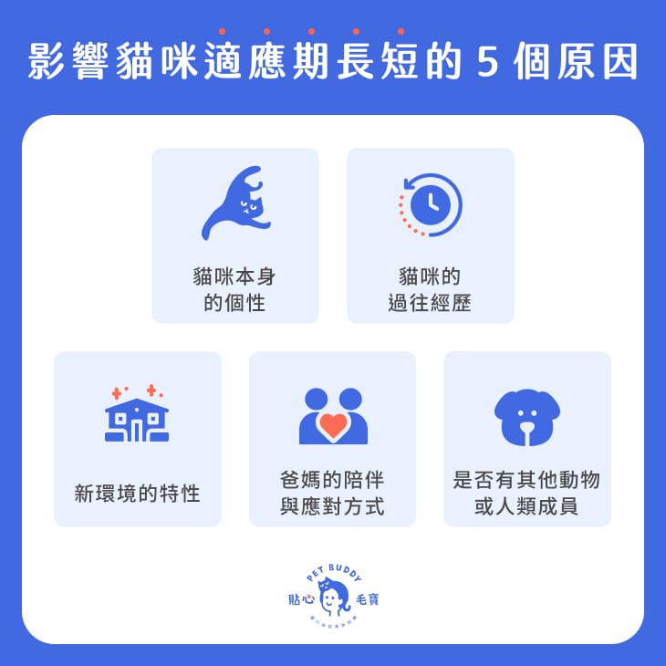 影響貓咪適應期長短的原因