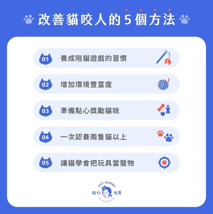 改善貓咪亂咬人的方法