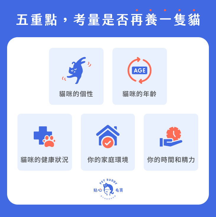 考量是否多養貓的要點
