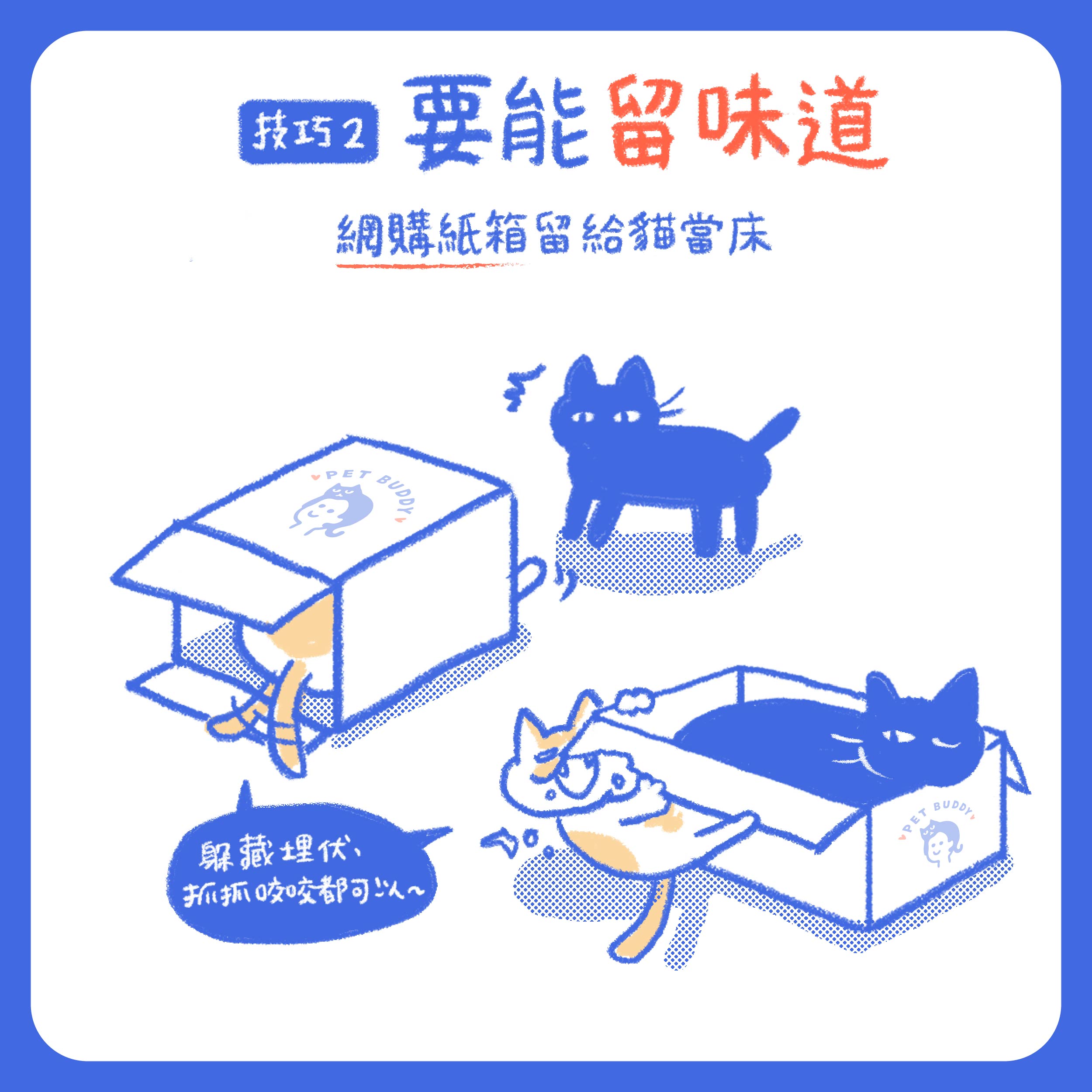 在紙箱留味道，貓會更有安全感