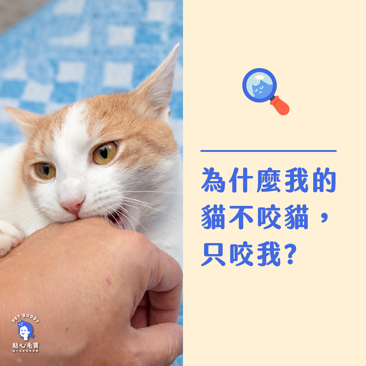 為什麼我的貓不咬貓、只咬我?