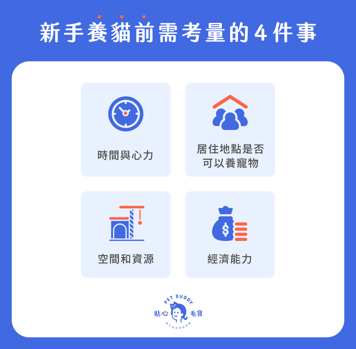 新手養貓前需考量的事