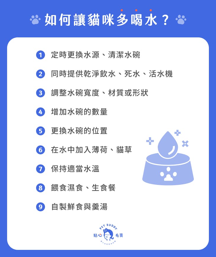 如何讓貓咪多喝水