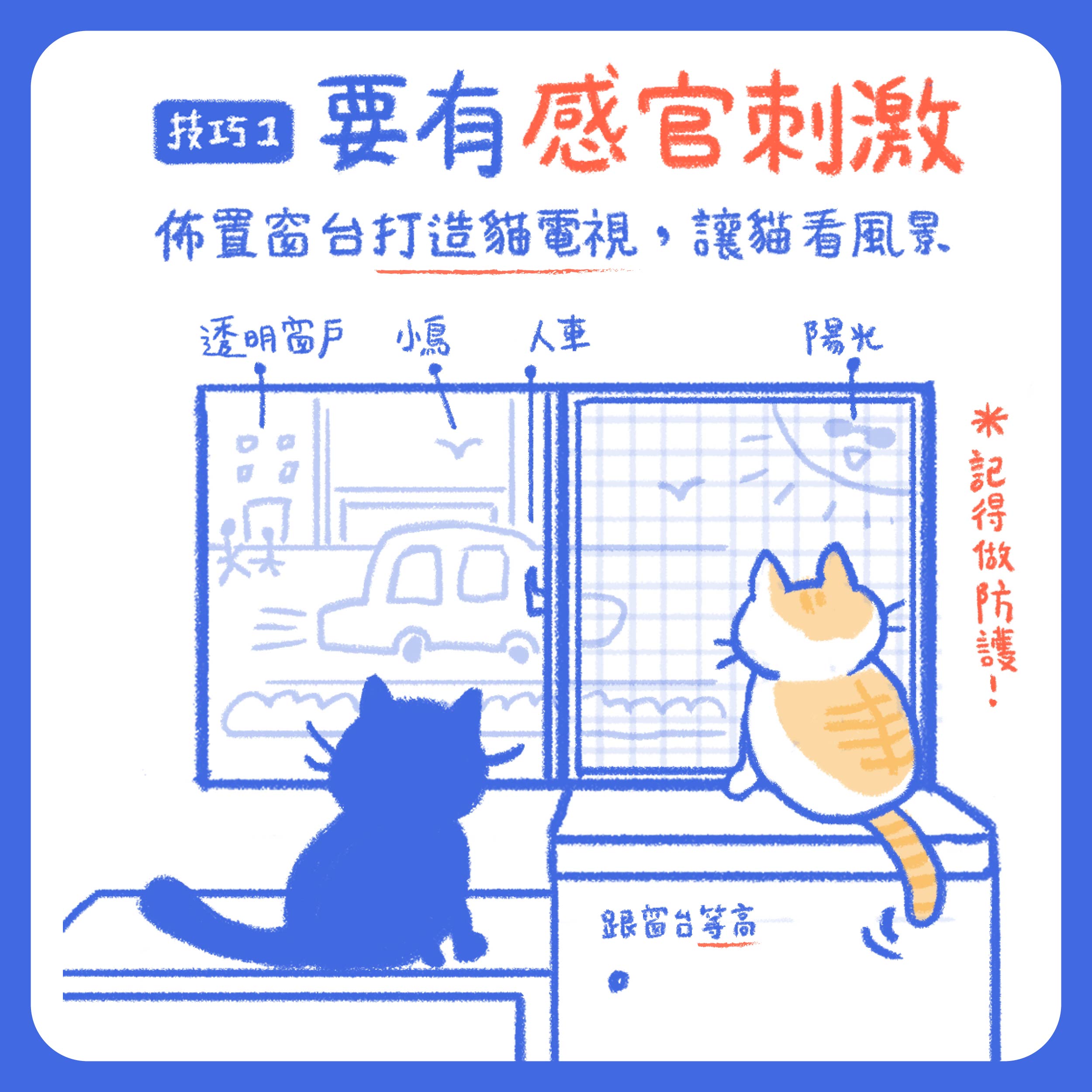 打造貓電視，提供感官刺激