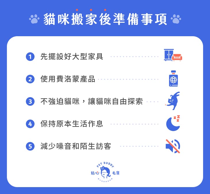 貓咪搬家後準備事項